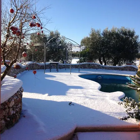 Modern In Shared Pool 45 M² *